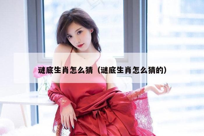 谜底生肖怎么猜（谜底生肖怎么猜的）